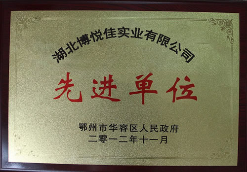 湖北博悅佳實業(yè)有限公司先進